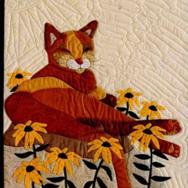 Feline Sunshine